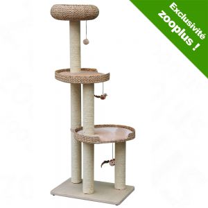 arbre a chat banana leaf paradise pas cher